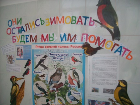 Перелетные птицы детям (39 фото)
